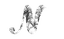 Nassino